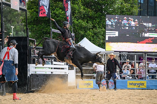 Eatons Hill Hotel Rodeo