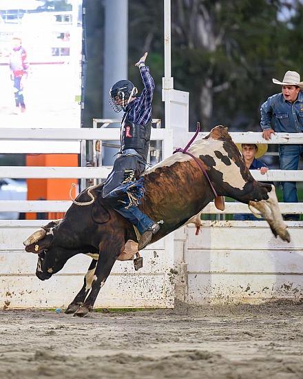 Beenleigh Show Rodeo