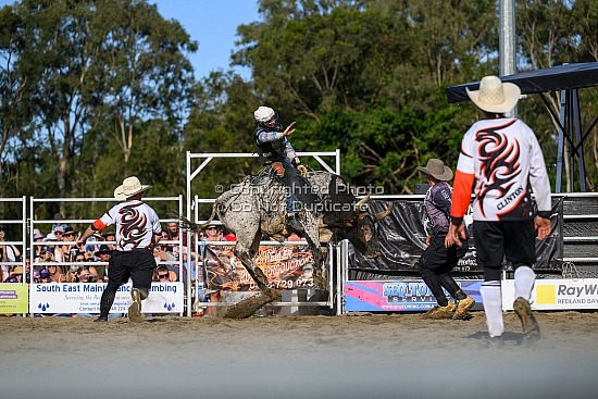Rodeo