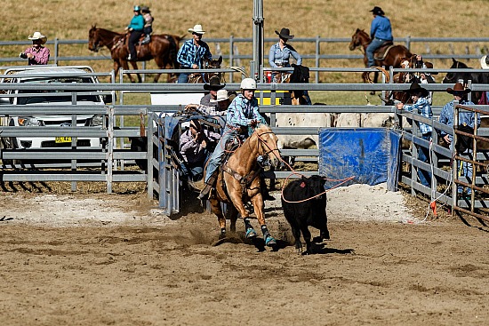 Canungra Super All Round
