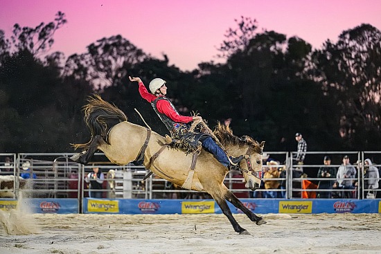 Tamborine Rodeo