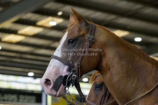 Caboolture Triple B Round 1.