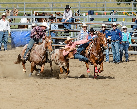 Canungra Rodeo
